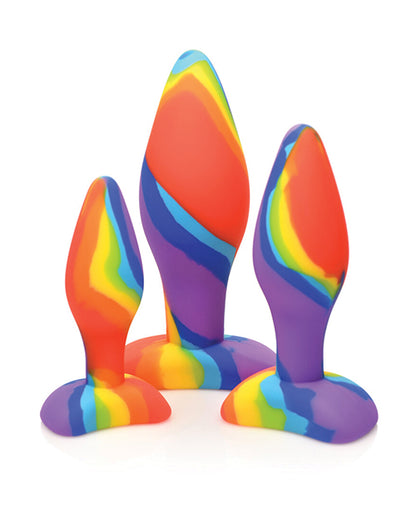 Rainbow Silicone Butt Plug Set