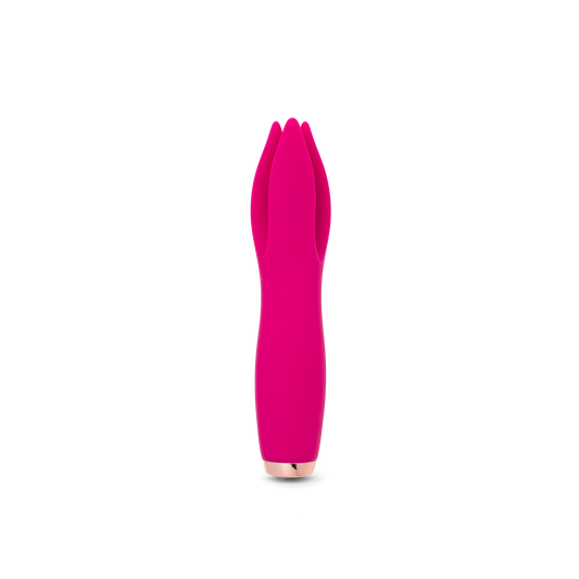 Tulip